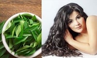 Try Curry leaves for Beautiful Hair